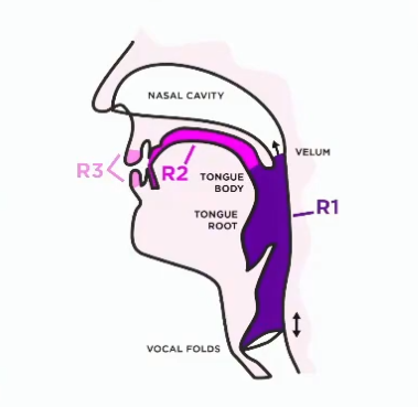 Vocal Registers Diagram